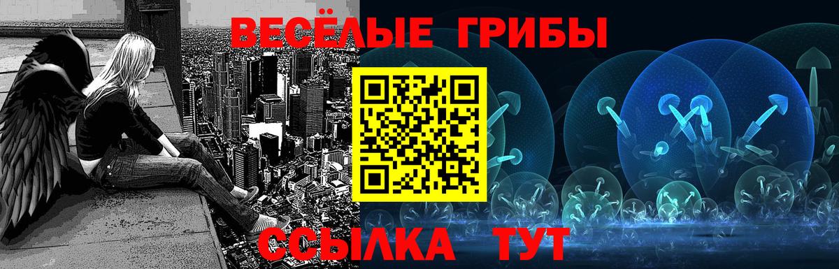 Сосновый Бор  Галлюциногенные грибы GOLDEN TEACHER  Вход с VPN 